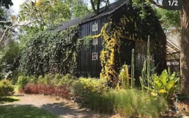 Rewild Camp And Cafe