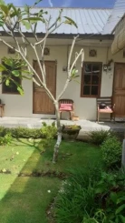 Pink Turtle Guest House