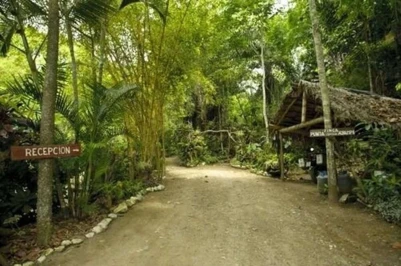 Finca Punta Ayampe