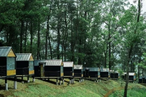 Bobocabin Coban Rondo Malang