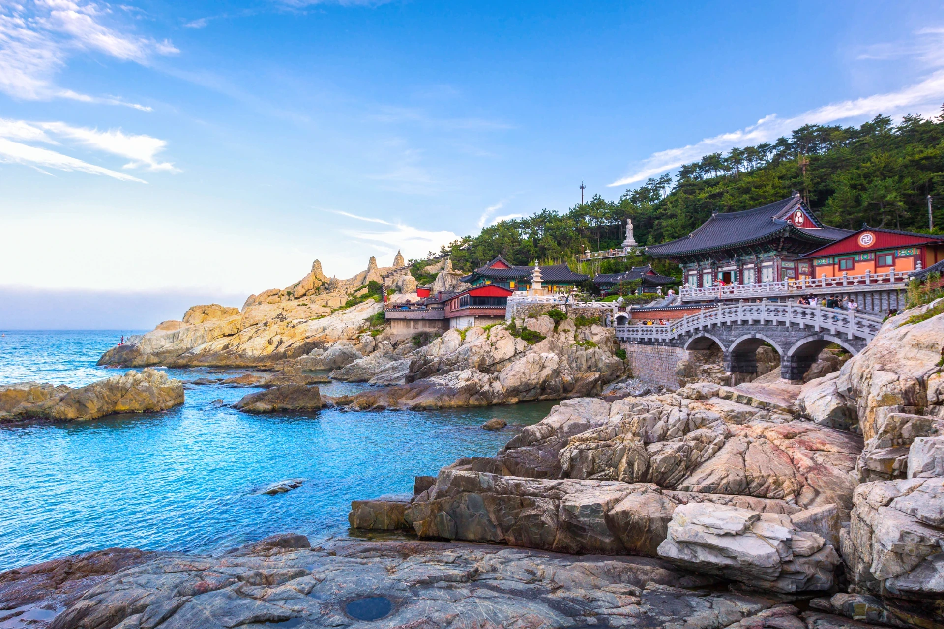 Busan Hotel Guide Gay Busan Hotels