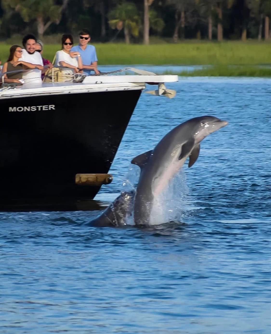 Captain Derek's Dolphin Adventures