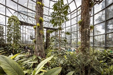 Jardín Botánico de Bogotá