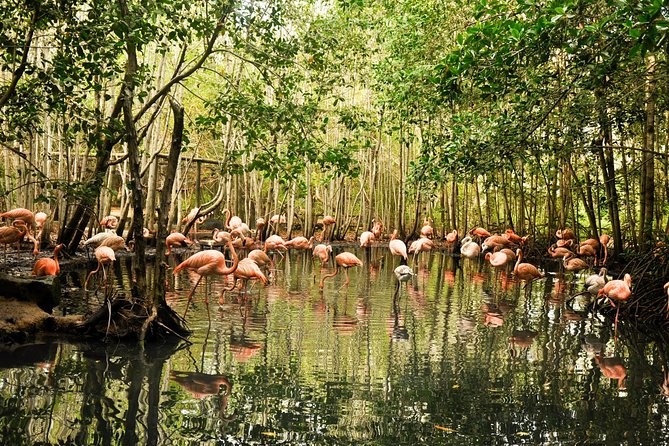 কলম্বিয়ার জাতীয় এভিয়ারি