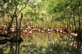 National Aviary of Colombia