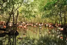 National Aviary of Colombia