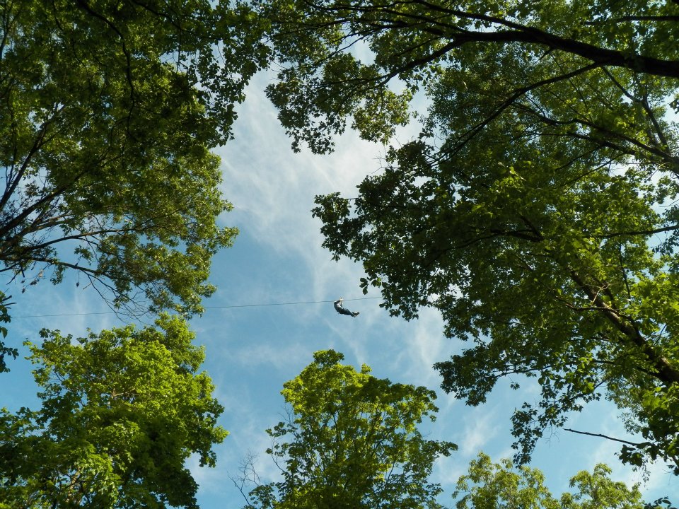 Grafton Zipline Adventures