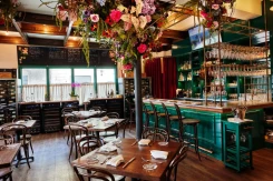 Mamou, New Orleans - Restaurant in New Orleans