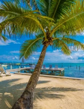 SunBreeze Suites