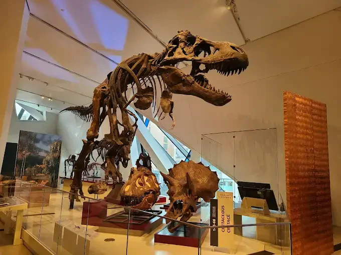 Royal Ontario Museum