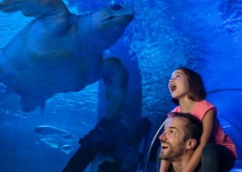 Sea Life San Antonio