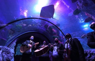 Sea Life San Antonio