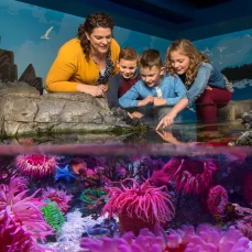 Sea Life San Antonio