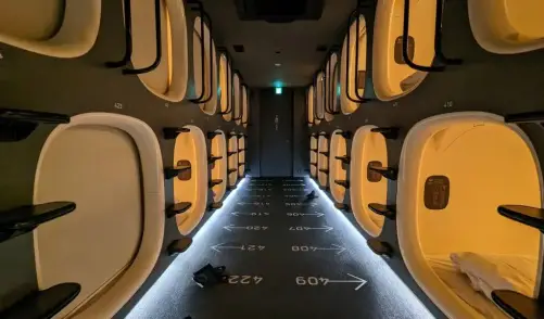 Capsule