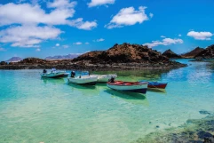Gay Fuerteventura
