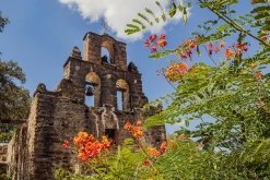 San Antonio Missions