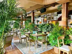 Emry's Garden Emry's Garden