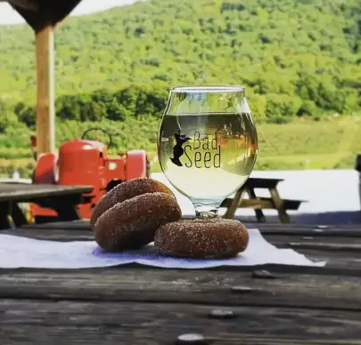 Bad Seed Cider Taproom