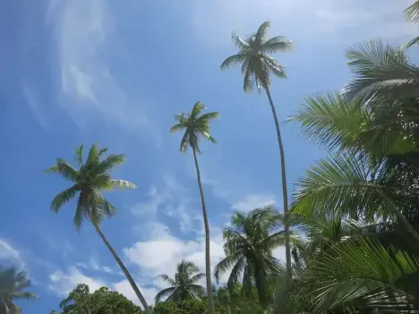 Playa Playitas Manuel Antonio