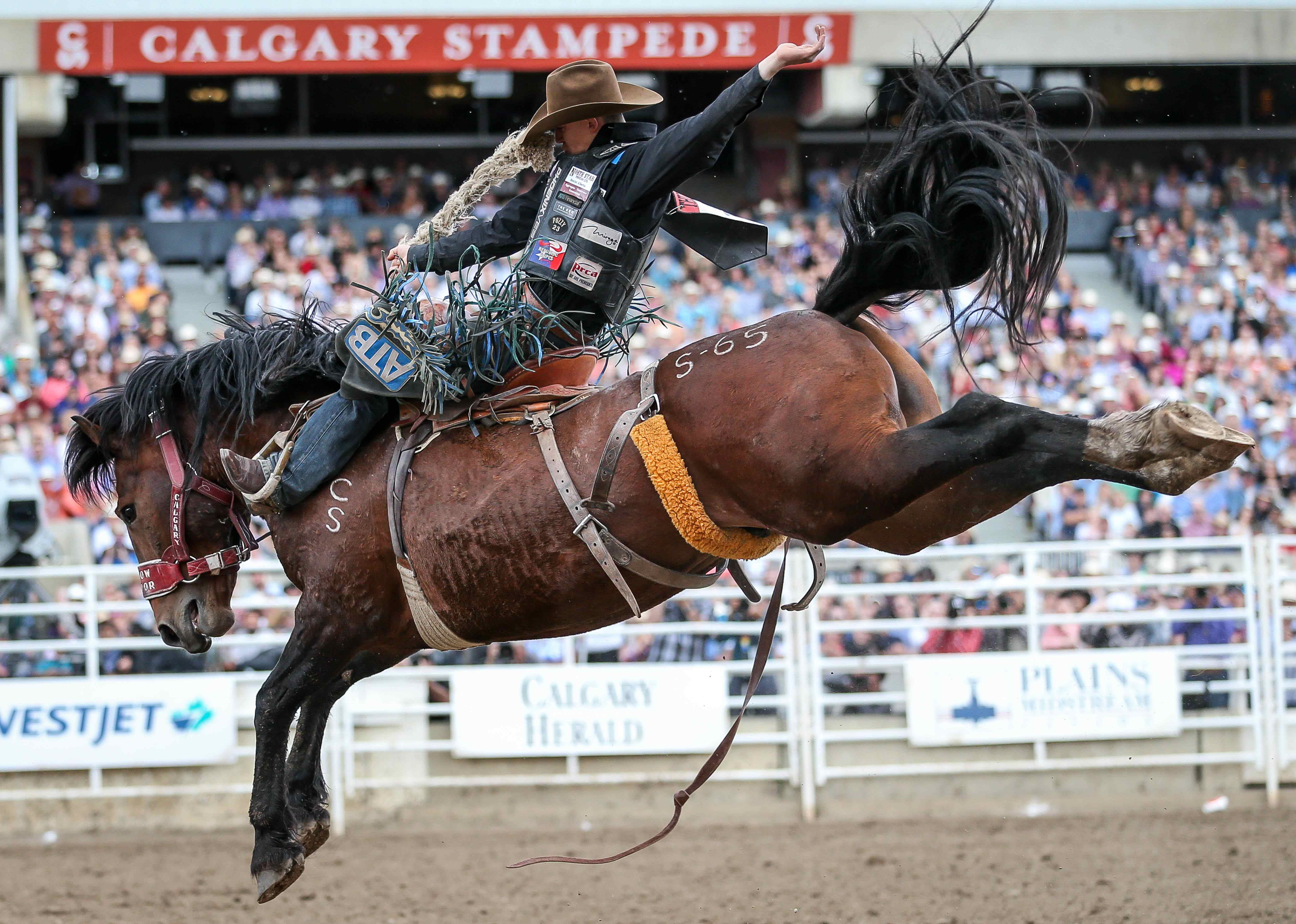 Calgary Stampede: Pride Day 