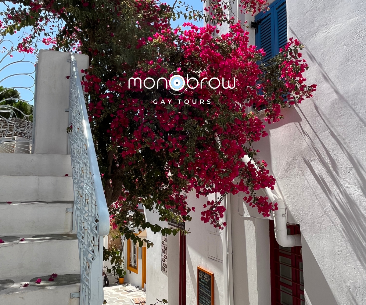 Monobrow Gay Tours Greece – We Plan, You Play.