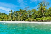 Gay Manuel Antonio