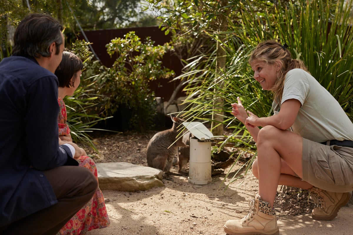 Wildlife Retreat στην Taronga