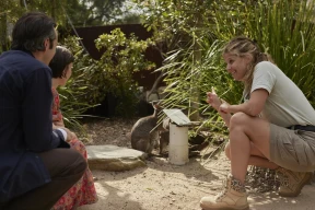 Retiro de vida selvagem em Taronga