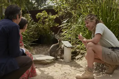 Wildlife Retreat At Taronga