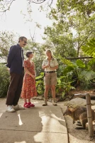 Retiro de vida selvagem em Taronga