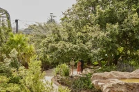 Retiro de vida selvagem em Taronga