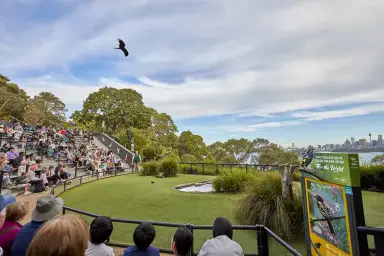 Wild Australia Experience Tour at Taronga Sydney
