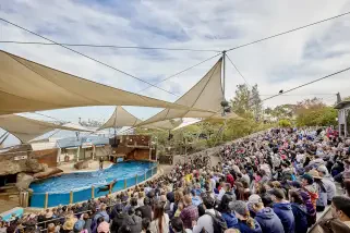 Wild Australia Experience Tour at Taronga Sydney