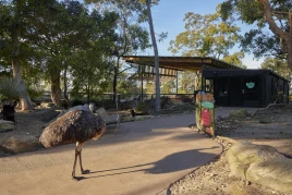 Wild Australia Experience Tour at Taronga Sydney