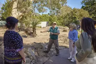 Wild Australia Experience Tour at Taronga Sydney