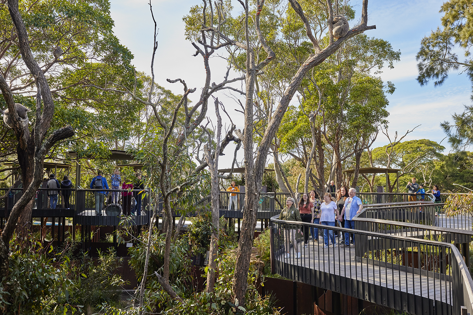 Wild Australia Experience Tour at Taronga Sydney