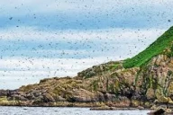Witless Bay Ecological Reserve