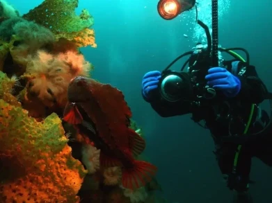 Ocean Quest Adventures