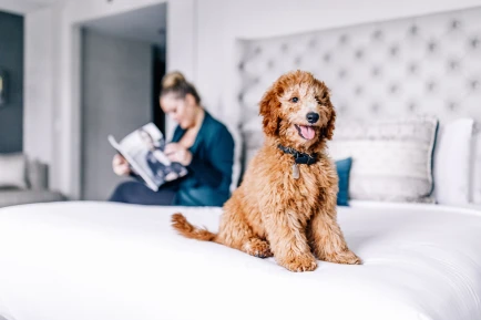 InterContinental Chicago, Magnificent Mile