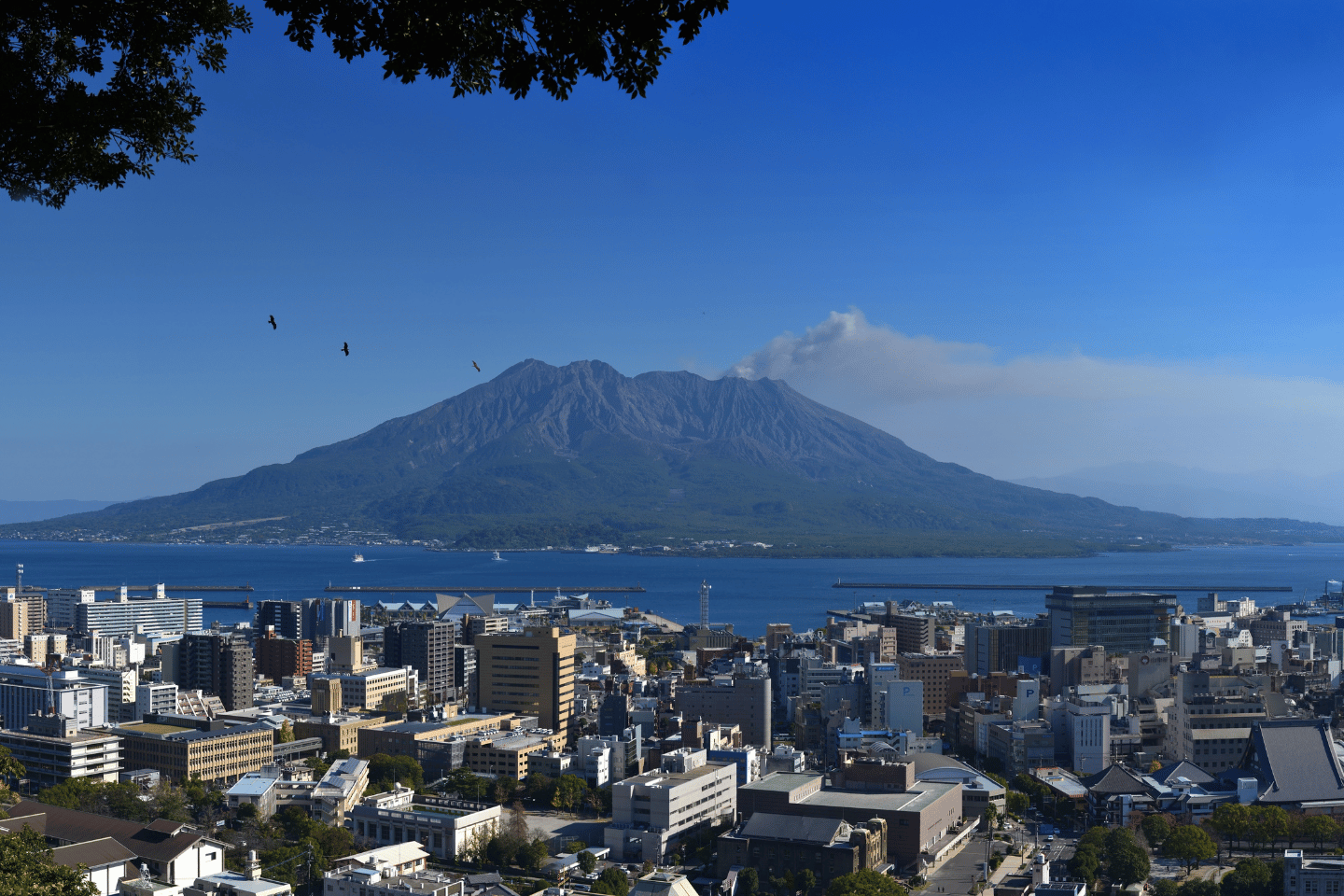 Gay Kumamoto