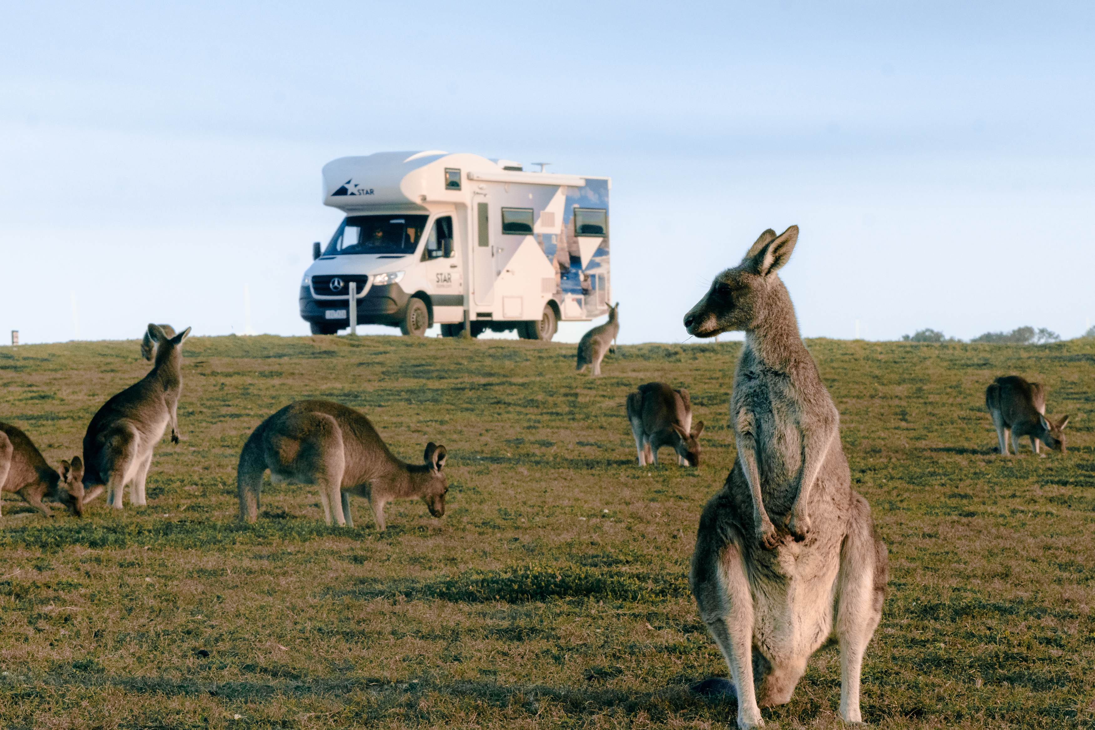 Bintang RV