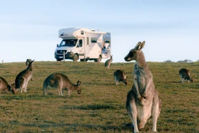 Star RV