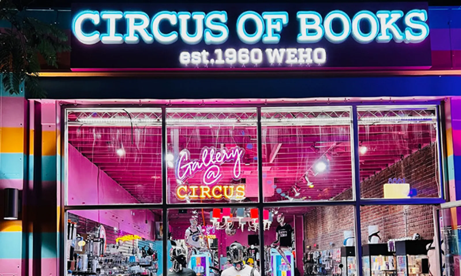 The Best Gay Sex Shops in the USA