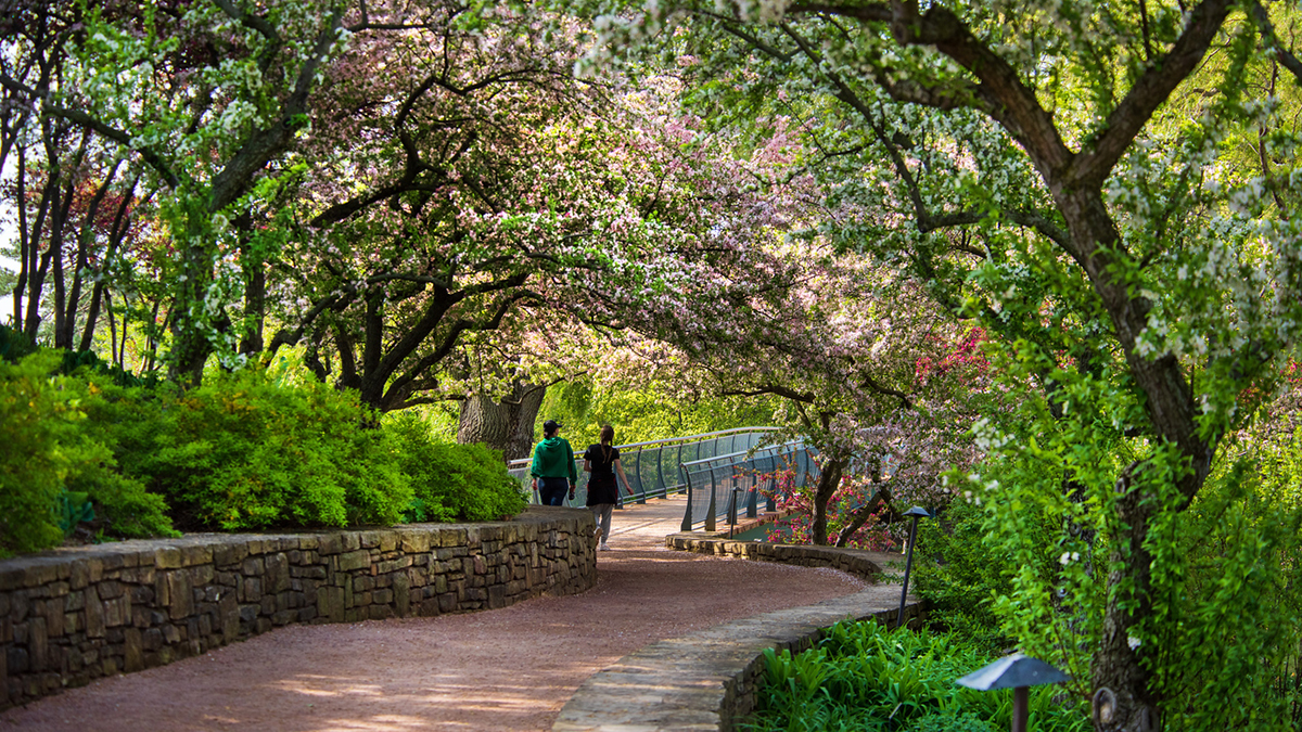 Chicago and Beyond: Pride, Frank Lloyd Wright and Illinois Made Treasures