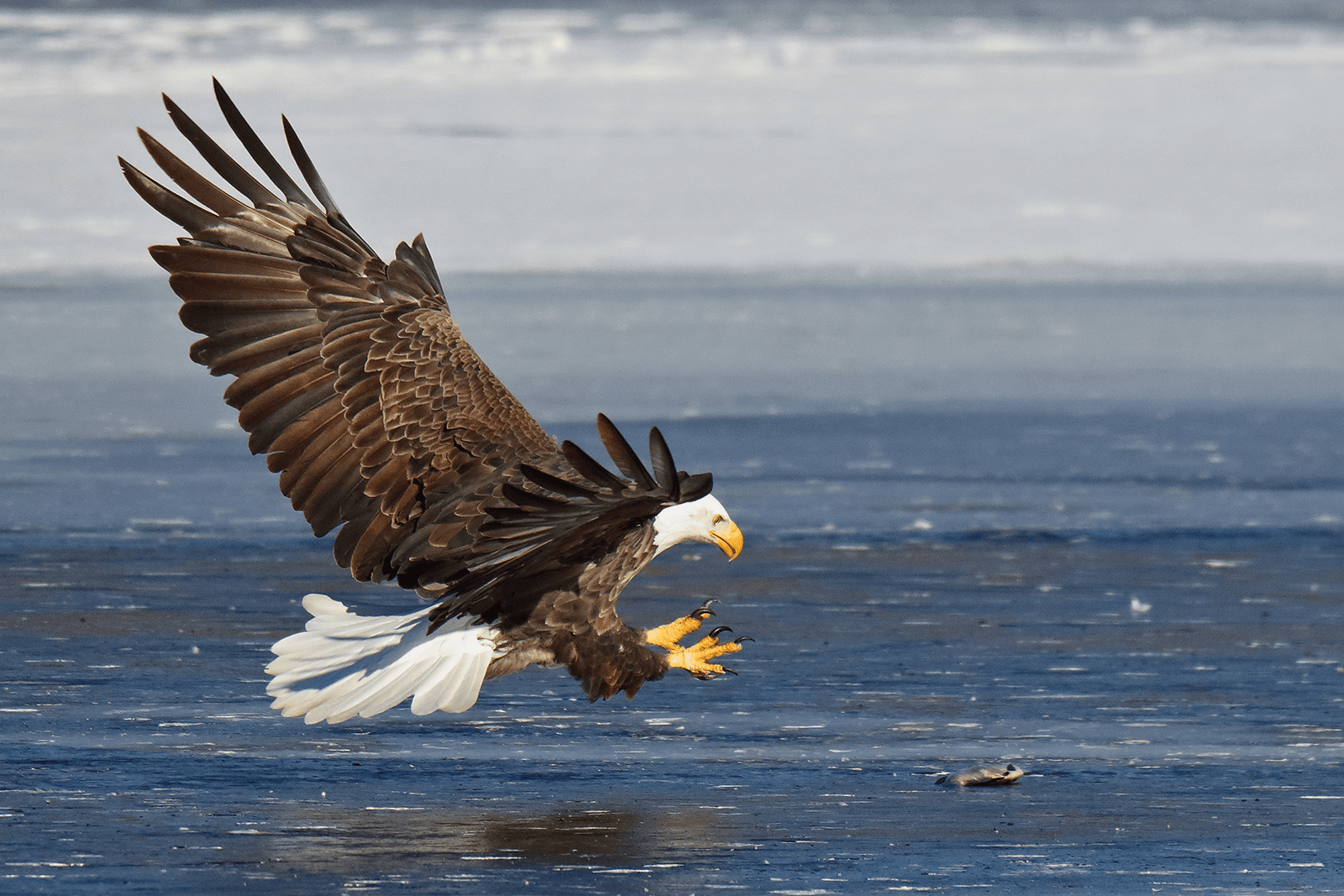 Discover Great Rivers Country