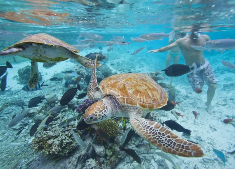 Embracing the Treasured Test: Celebrating LGBTQ+ Travel in The Islands of Tahiti