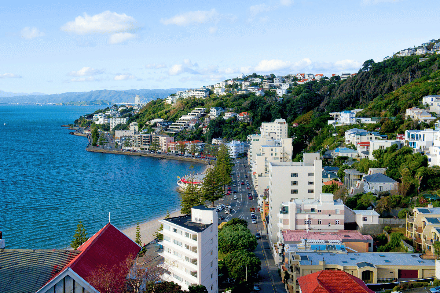 eşcinsel Wellington