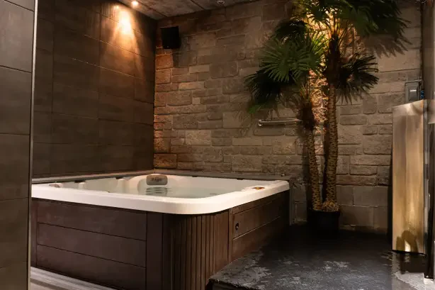 sauna-back-boys-quebec