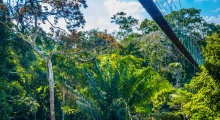 Puerto Maldonado