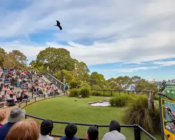 Taronga Sydney